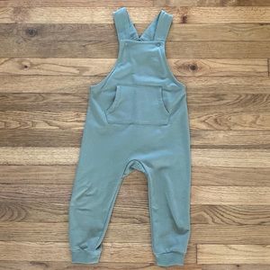 NWT overalls